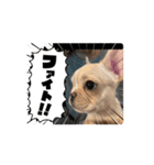 とにかく飲みたいバムケロ（個別スタンプ：6）
