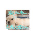 とにかく飲みたいバムケロ（個別スタンプ：7）