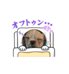 とにかく飲みたいバムケロ（個別スタンプ：8）