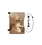 とにかく飲みたいバムケロ（個別スタンプ：10）