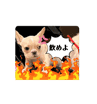 とにかく飲みたいバムケロ（個別スタンプ：14）