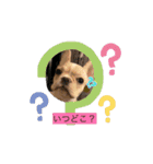 とにかく飲みたいバムケロ（個別スタンプ：15）