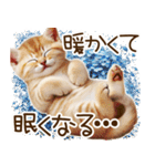 ずっと使える猫とウサギの春の花スタンプ（個別スタンプ：27）