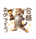 ずっと使える猫とウサギの春の花スタンプ（個別スタンプ：28）