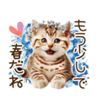 ずっと使える猫とウサギの春の花スタンプ（個別スタンプ：33）