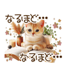 ずっと使える猫とウサギの春の花スタンプ（個別スタンプ：35）