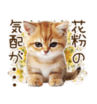 ずっと使える猫とウサギの春の花スタンプ（個別スタンプ：37）