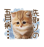ずっと使える猫とウサギの春の花スタンプ（個別スタンプ：40）