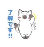 黒猫さんとシャム猫さんの日常（個別スタンプ：7）