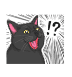 黒猫さんとシャム猫さんの日常（個別スタンプ：16）