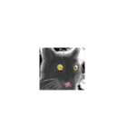 黒猫さんとシャム猫さんの日常（個別スタンプ：17）