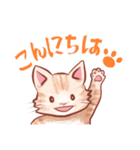 しましま子猫（個別スタンプ：1）