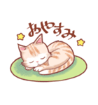 しましま子猫（個別スタンプ：3）