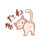 しましま子猫（個別スタンプ：4）