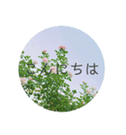 花と日常の言葉（個別スタンプ：2）