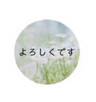 花と日常の言葉（個別スタンプ：5）