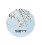 花と日常の言葉（個別スタンプ：6）