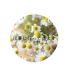 花と日常の言葉（個別スタンプ：7）