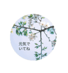 花と日常の言葉（個別スタンプ：11）