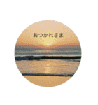 花と日常の言葉（個別スタンプ：13）