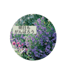 花と日常の言葉（個別スタンプ：14）