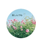 花と日常の言葉（個別スタンプ：16）
