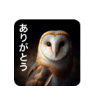 フクロウは見ている（個別スタンプ：1）