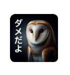フクロウは見ている（個別スタンプ：4）