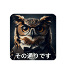 フクロウは見ている（個別スタンプ：7）