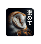 フクロウは見ている（個別スタンプ：8）