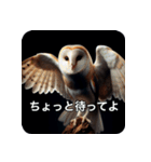 フクロウは見ている（個別スタンプ：9）