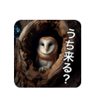フクロウは見ている（個別スタンプ：22）