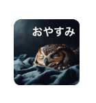 フクロウは見ている（個別スタンプ：40）