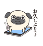 毎日まるぱぐ敬語・謙譲語・丁寧語（個別スタンプ：1）
