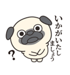 毎日まるぱぐ敬語・謙譲語・丁寧語（個別スタンプ：5）