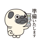 毎日まるぱぐ敬語・謙譲語・丁寧語（個別スタンプ：24）