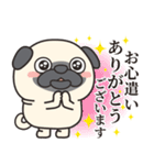 毎日まるぱぐ敬語・謙譲語・丁寧語（個別スタンプ：26）
