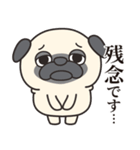 毎日まるぱぐ敬語・謙譲語・丁寧語（個別スタンプ：33）