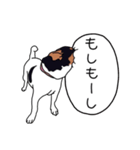 ソラマメかわいいよソラマメ基本セット（個別スタンプ：4）