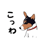 ソラマメかわいいよソラマメ基本セット（個別スタンプ：12）