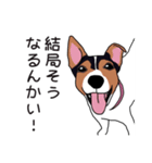 ソラマメかわいいよソラマメ基本セット（個別スタンプ：16）