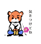 くまのどんちゃん。春場所（個別スタンプ：31）