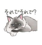 ルイとティナのLINEスタンプ（個別スタンプ：19）