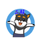 シャンプーする柴犬（個別スタンプ：11）