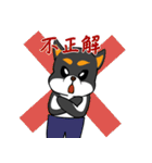 シャンプーする柴犬（個別スタンプ：12）
