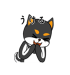 シャンプーする柴犬（個別スタンプ：16）