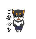 シャンプーする柴犬（個別スタンプ：24）