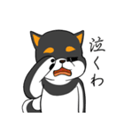 シャンプーする柴犬（個別スタンプ：27）