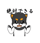シャンプーする柴犬（個別スタンプ：28）