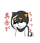シャンプーする柴犬（個別スタンプ：30）